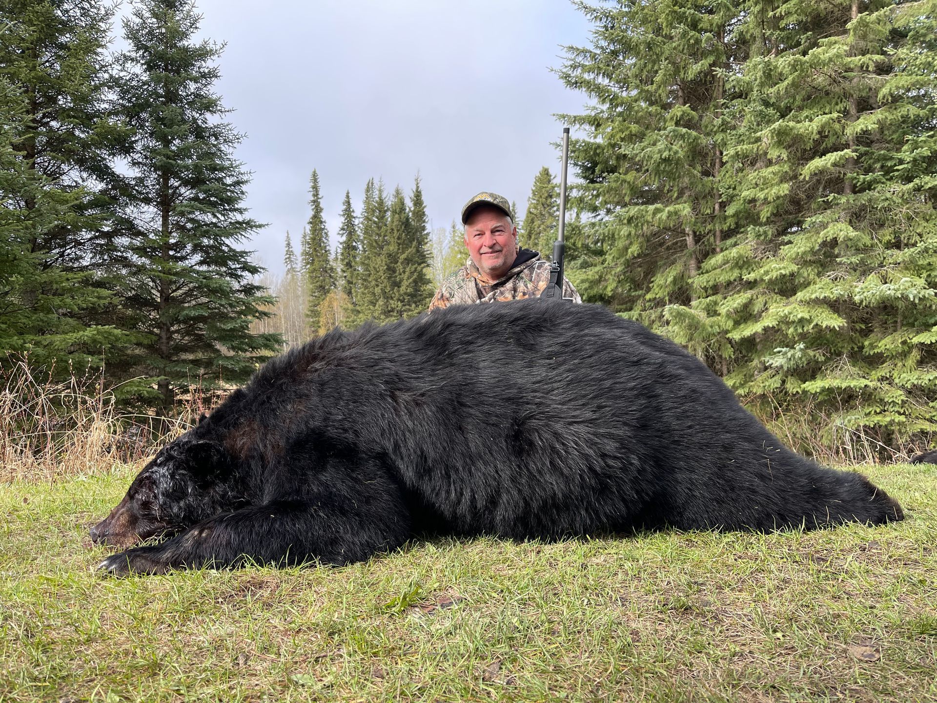 giant black bear
