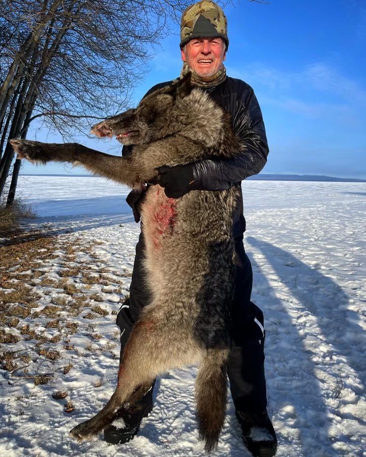 Wolf hunting guide and outfitter Alberta, Canada