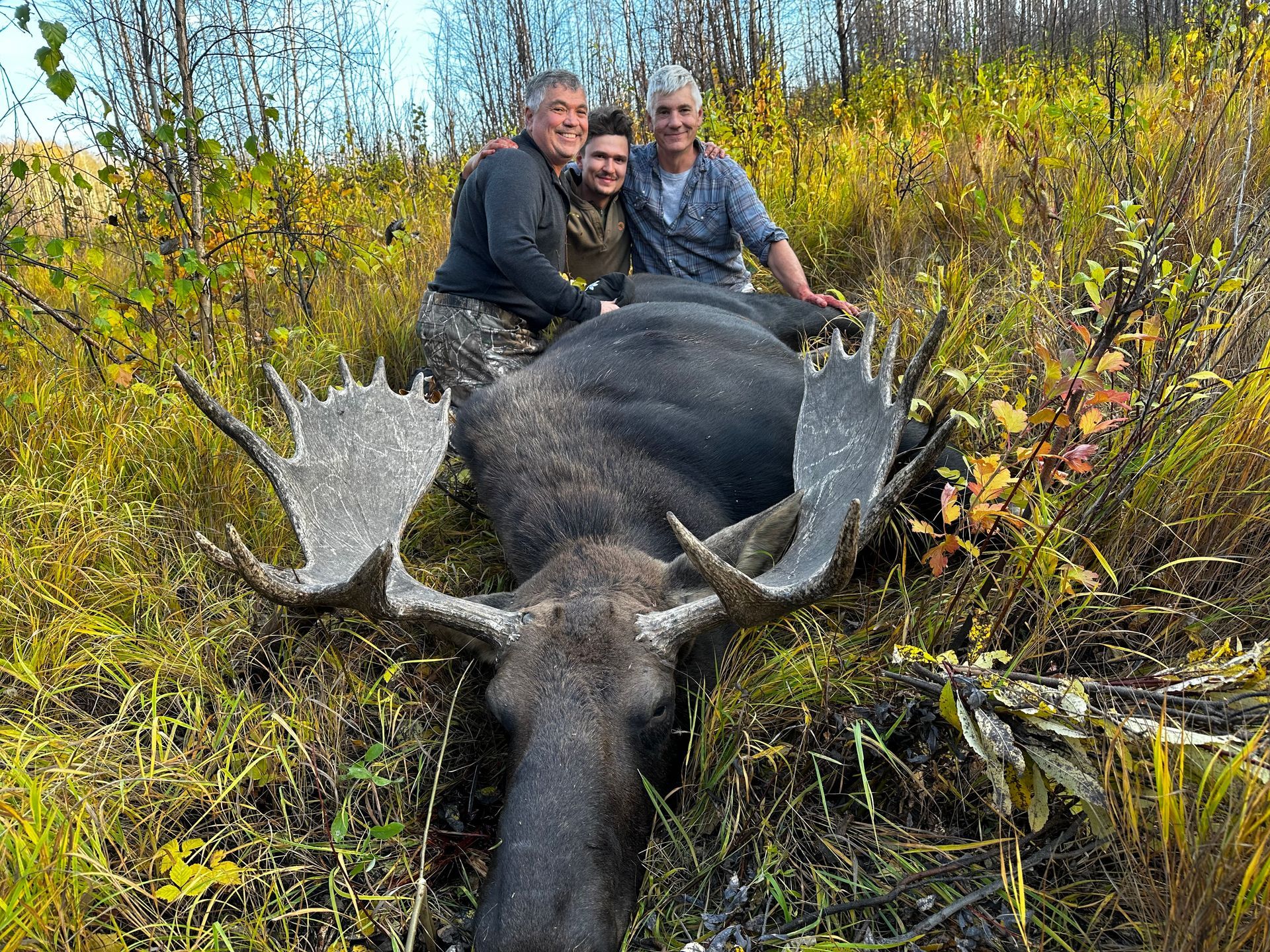 Alberta moose hunting guide
