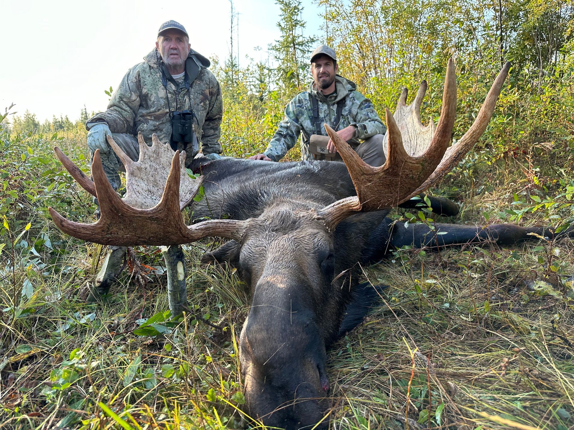 moose outfitter Canada