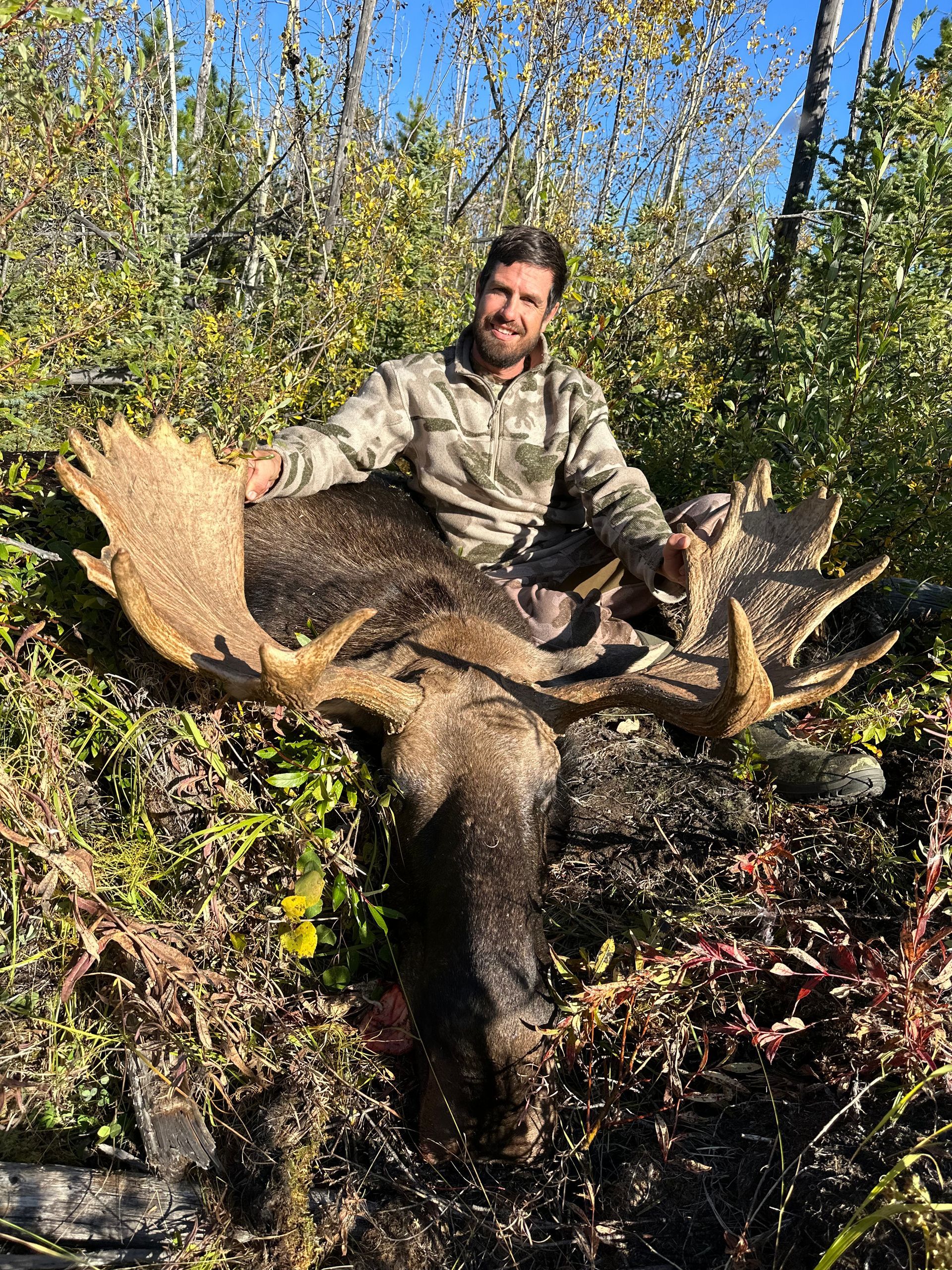moose hunting outfitter