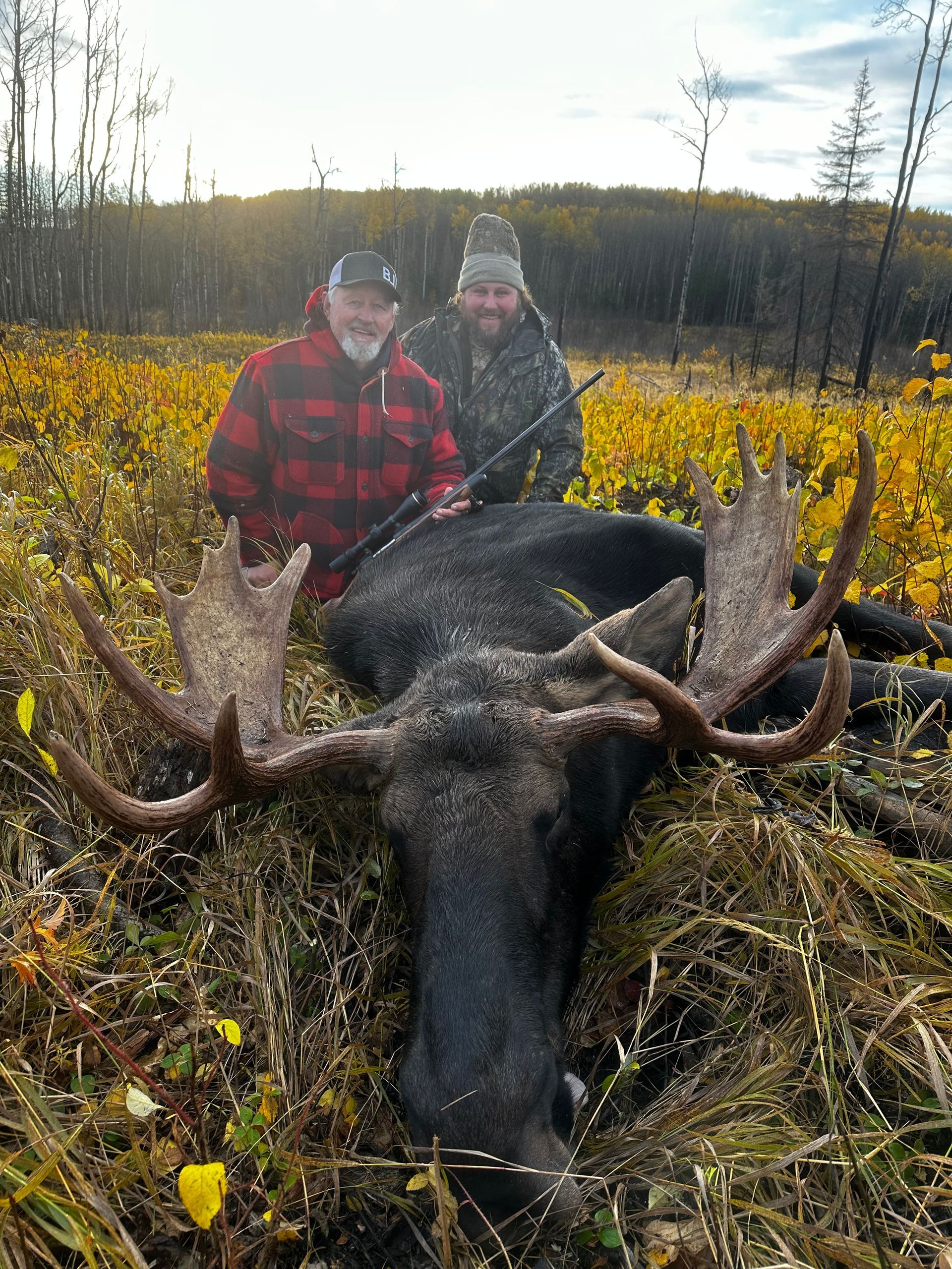 moose hunting in Canada