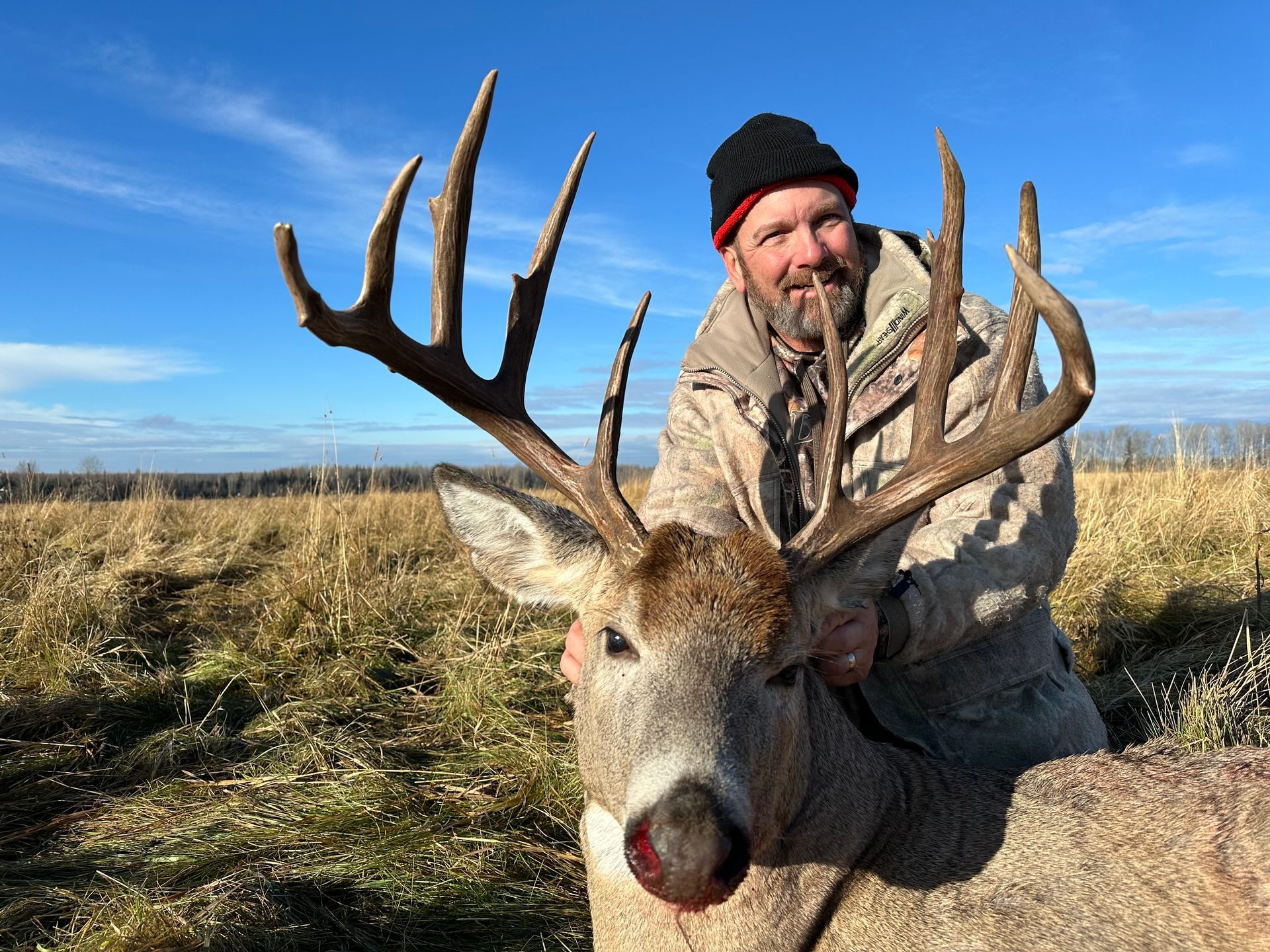 mature whitetail buck
