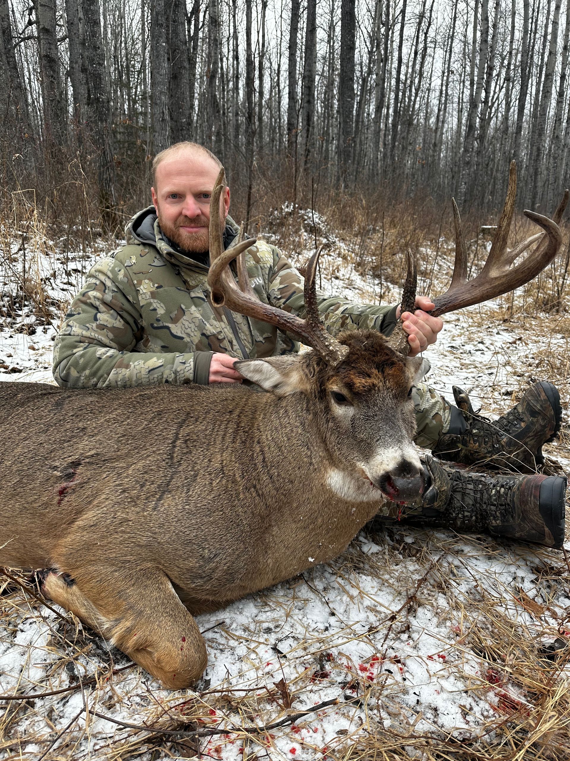 Canada whitetail buck hunting
