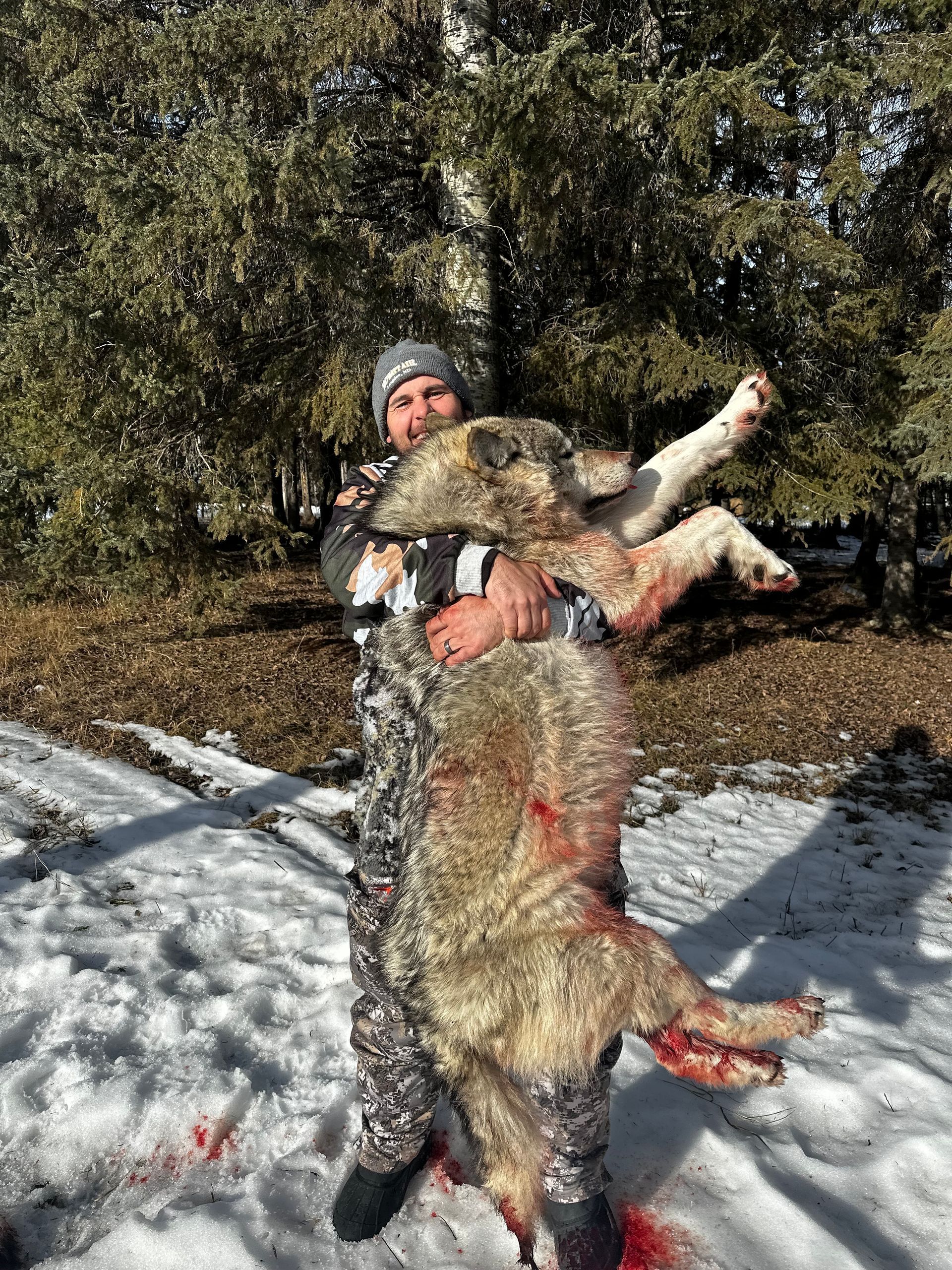wolf hunting outfitter Canada