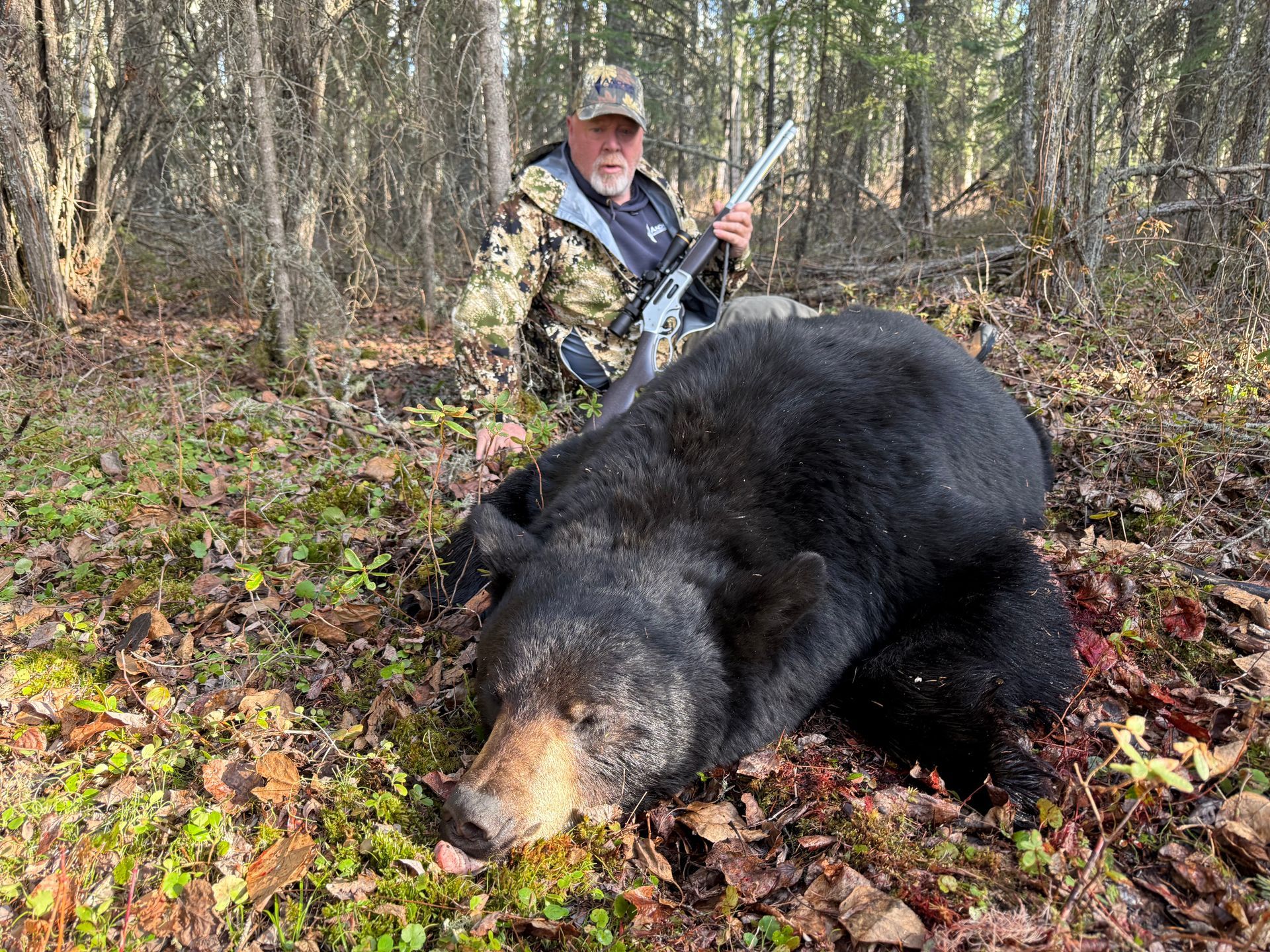 Black Bear Hunts