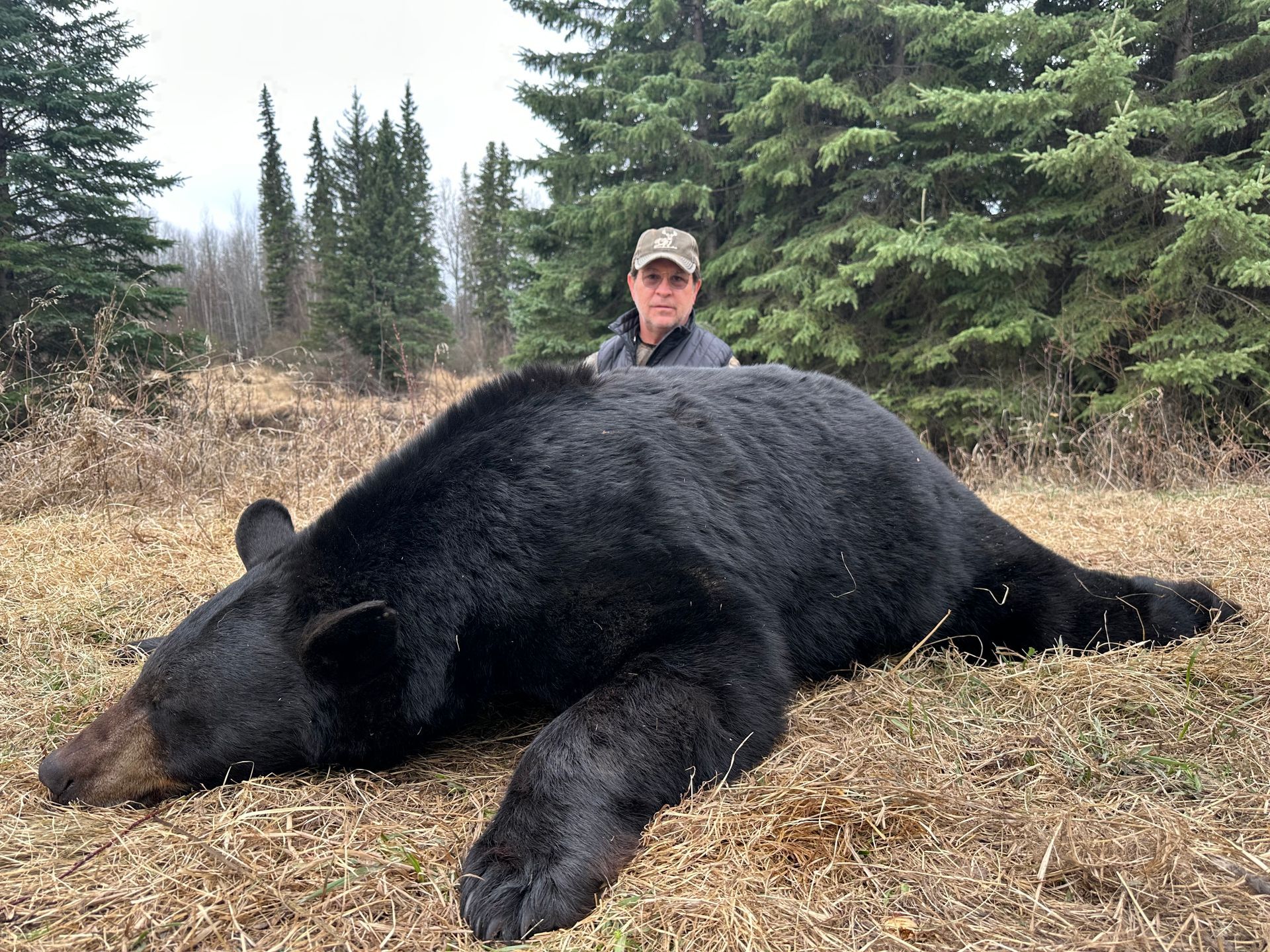 Bear Hunting Outfitter in Canada