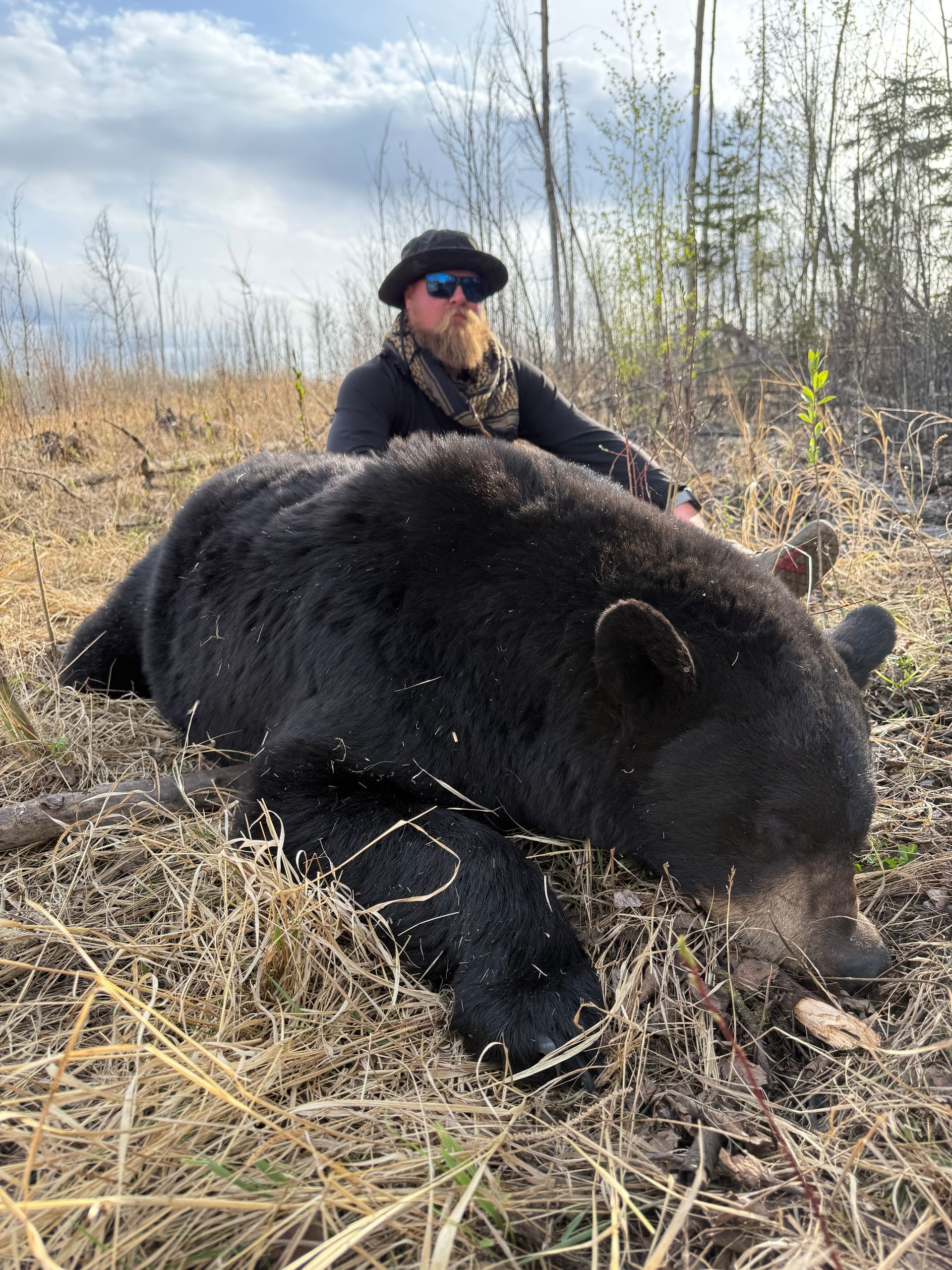 Bear Hunting Alberta