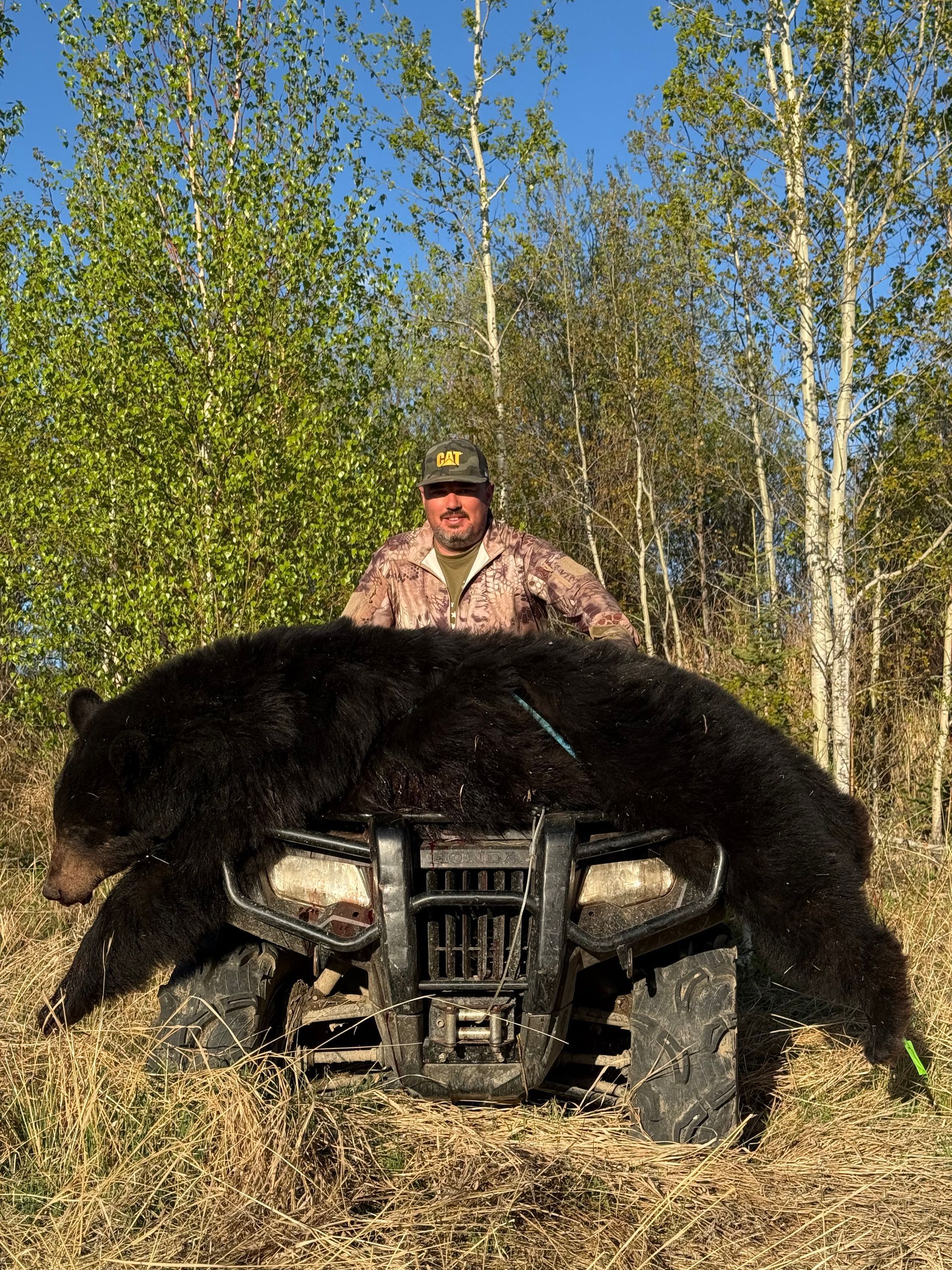 bear hunting in Canada