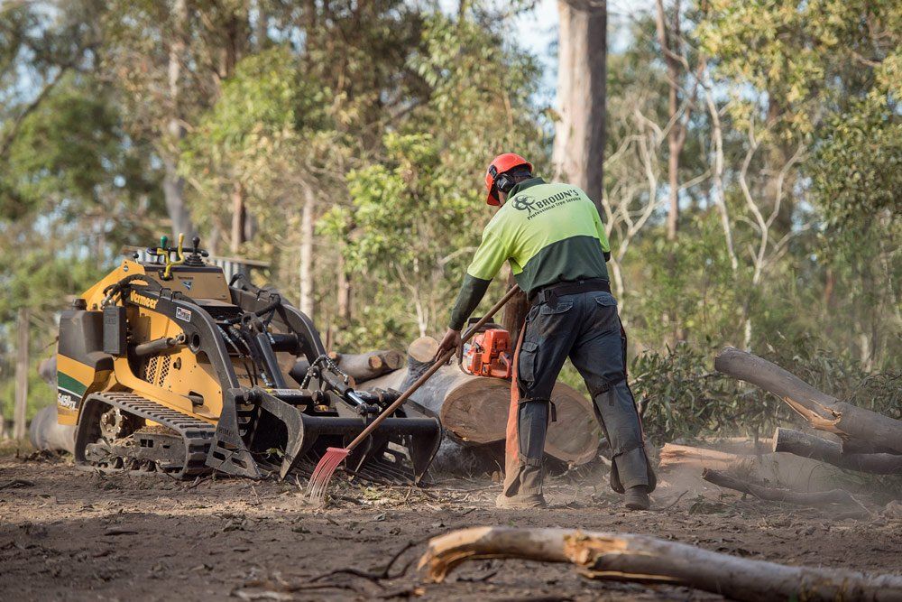 A Man Is Using A Stump Grinder To Remove A Tree Stump — Brown's Professional Tree Service In Pie Creek, QLD
