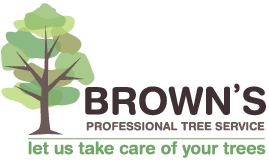 Brown’s Professional Tree Services: Your Local Tree Loppers in Gympie