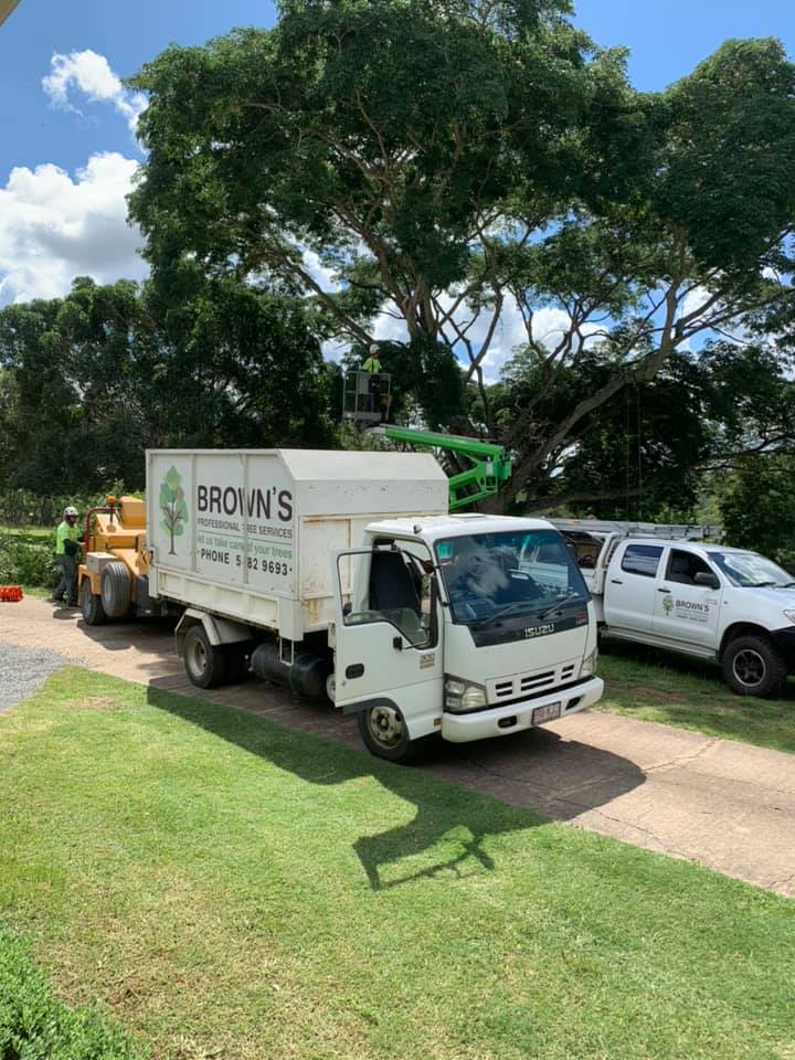 A White Truck Is Parked In A Driveway Next To A Tree — Brown's Professional Tree Service In Pie Creek, QLD