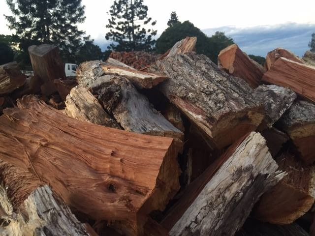 A Pile Of Logs With Trees In The Background — Brown's Professional Tree Service In Pie Creek, QLD