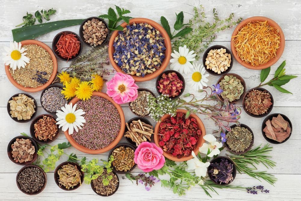 Flower Collection — Health Therapists in Woonona, NSW