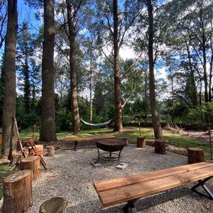There is a Fire Pit in the Middle of the Woods Surrounded by Trees — Align Health Therapies in Woonona, NSW