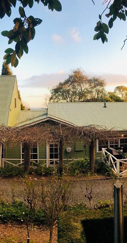 A Green House With a White Porch is Surrounded by Trees and Bushes — Align Health Therapies in Woonona, NSW