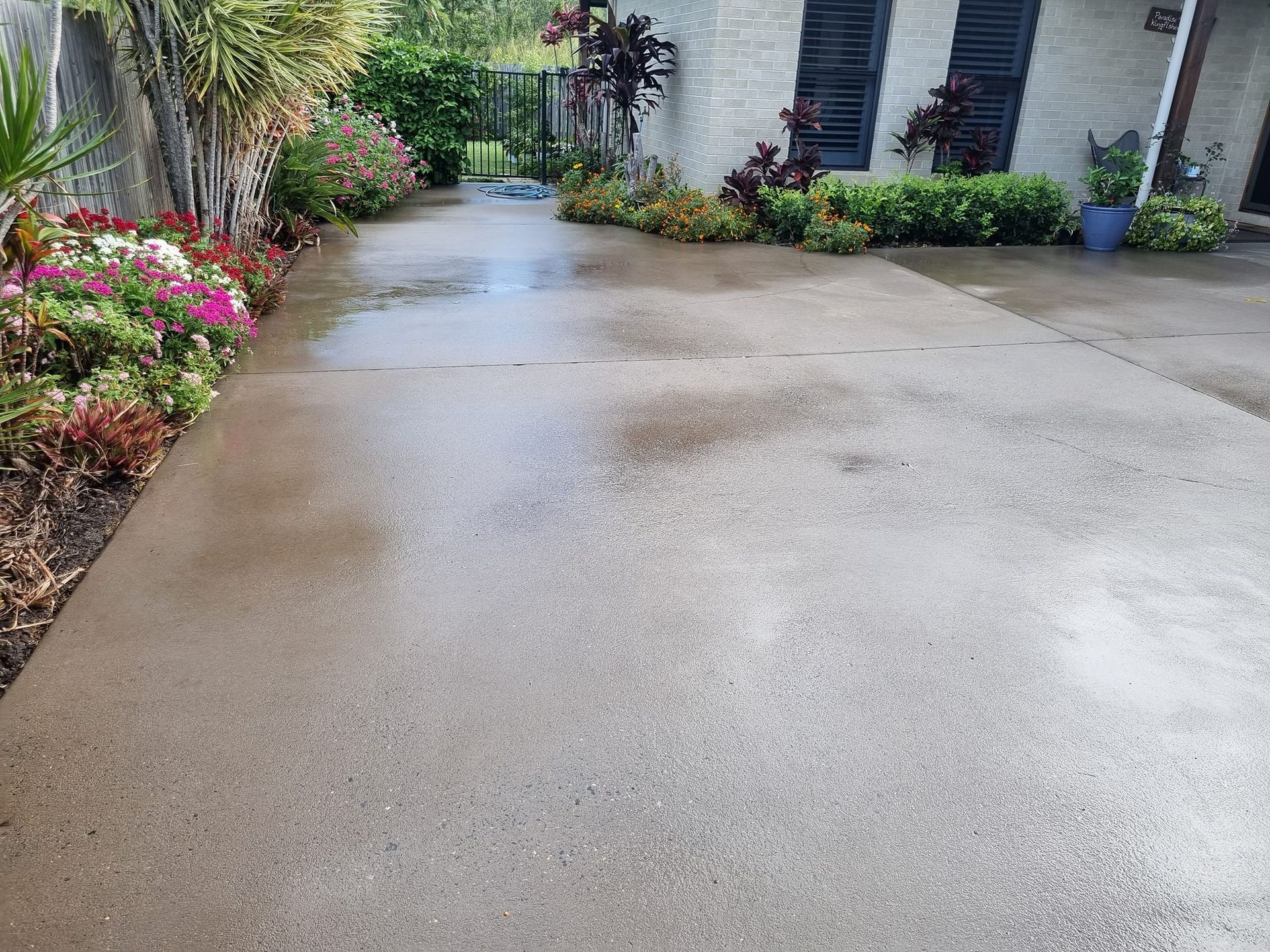Wet Clean Concrete Driveway — Cap Coast Pressure Cleaning in Lammermoor, QLD