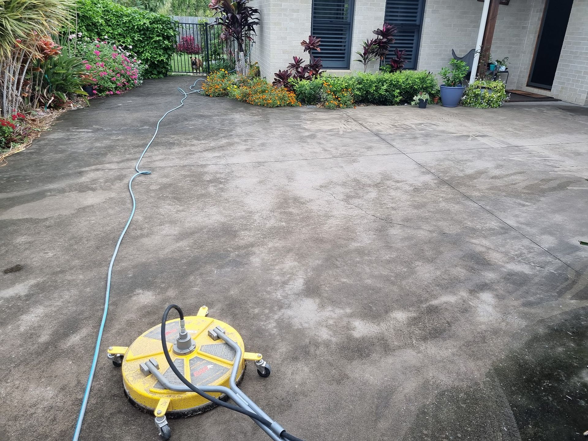 A Large Lawn In Front Of A House With A Stone Wall — Cap Coast Pressure Cleaning in Lammermoor, QLD