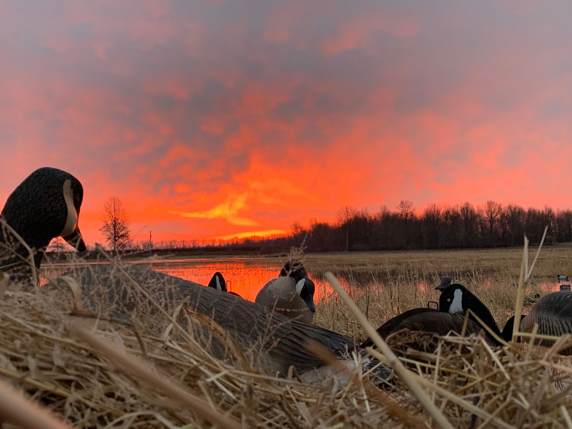 Lush green valley with mountains