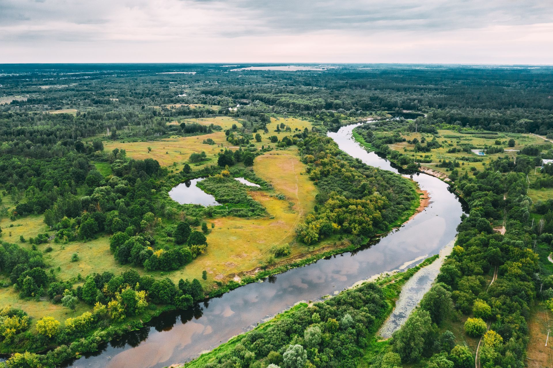 River surrounded by trees and grass