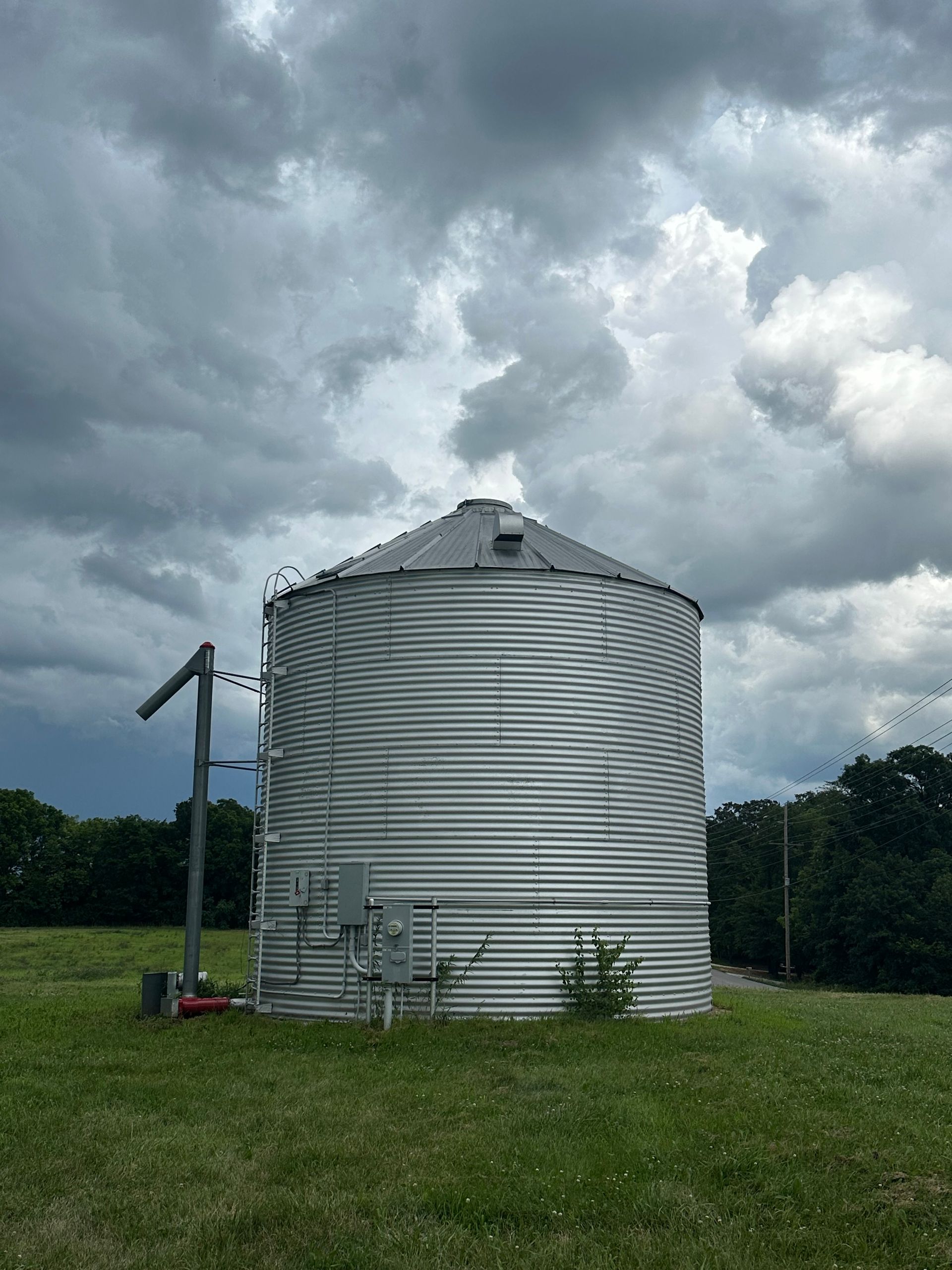 Field with lots of trees