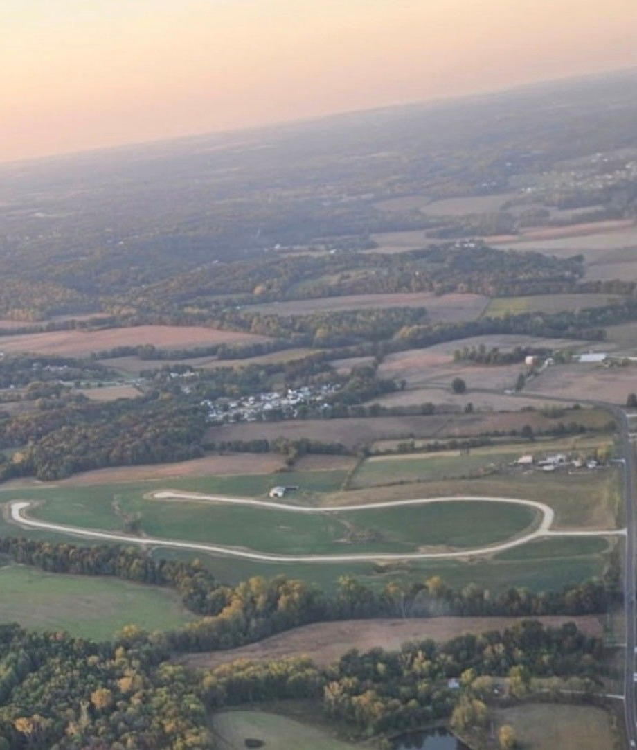 Field with yellow flowers