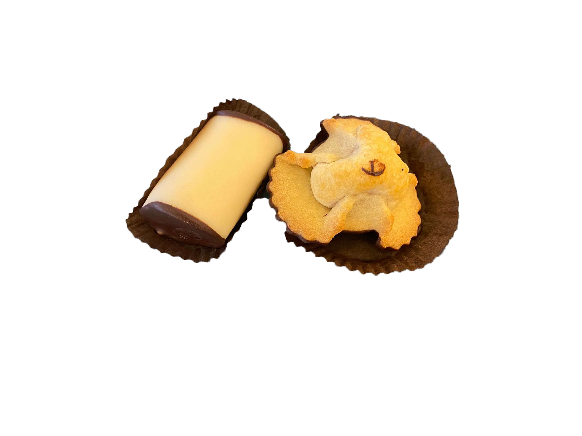 Et nærbillede af to cookies på en hvid baggrund