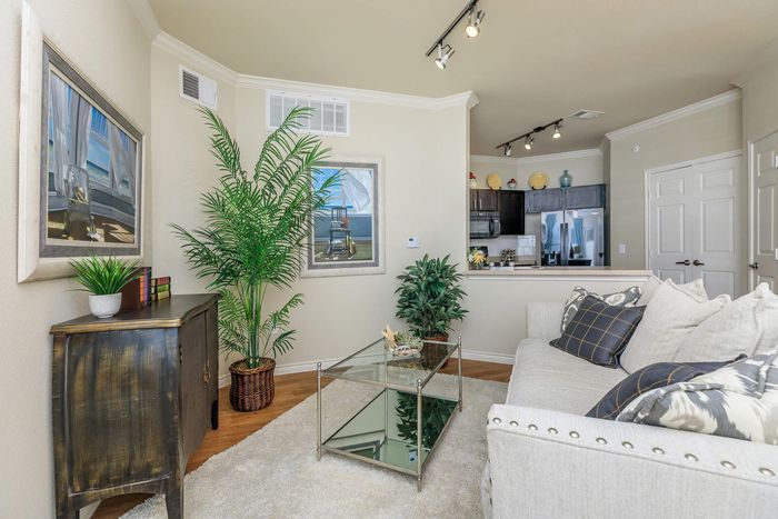 Living room with sofa, coffee table, potted plants, and a glimpse of the kitchen.