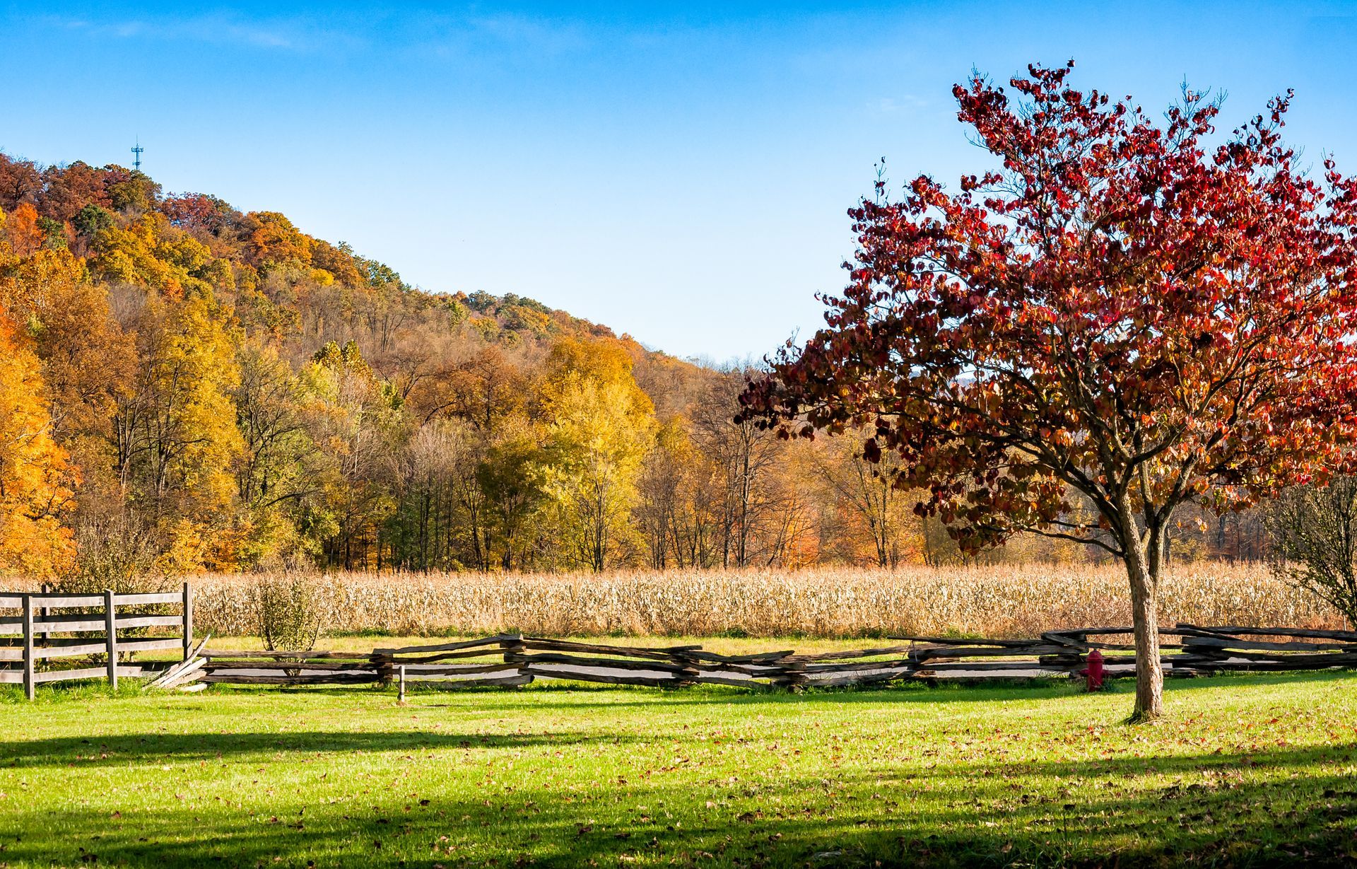Autumn landscape with colorful trees, a field, and a wooden fence under a blue sky.