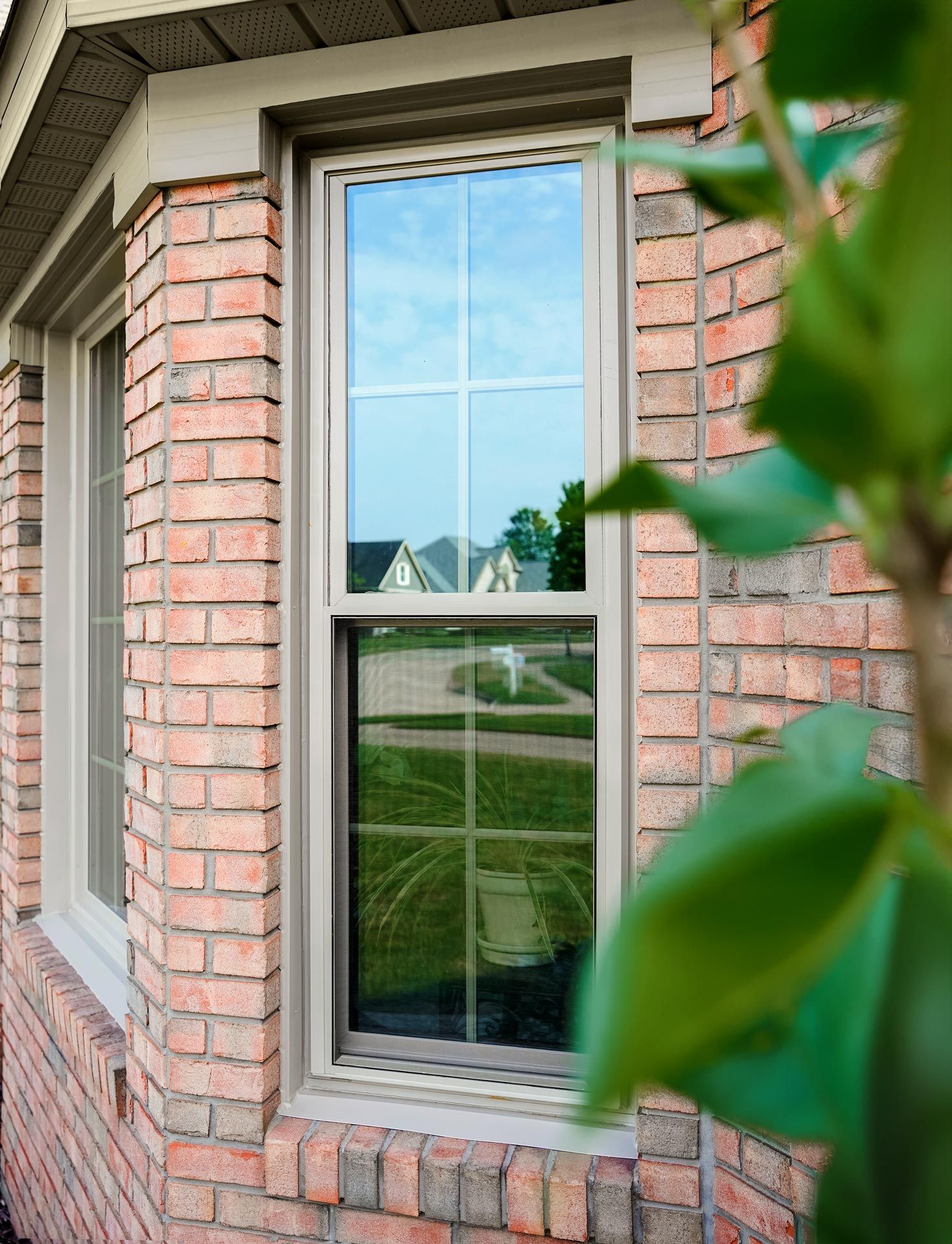 A window on a brick building with a tree in the foreground.
