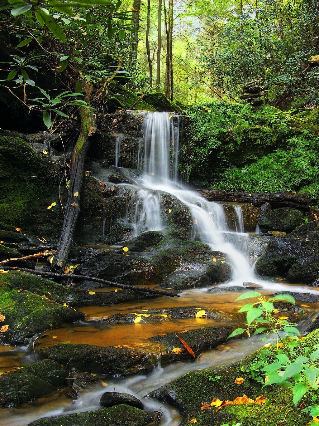 A small waterfall in the middle of a forest