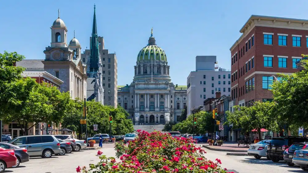 A city street with a large building in the background and a flower bed in the foreground.