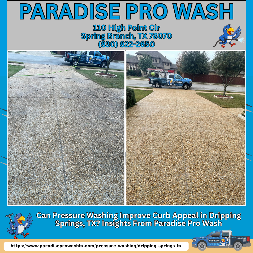 Before and after photos of a pressure-washed driveway, with Paradise Pro Wash branding, contact info, and website.