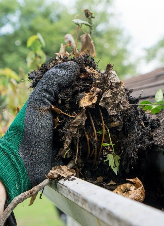 A person wearing gloves is cleaning a gutter with leaves and dirt.