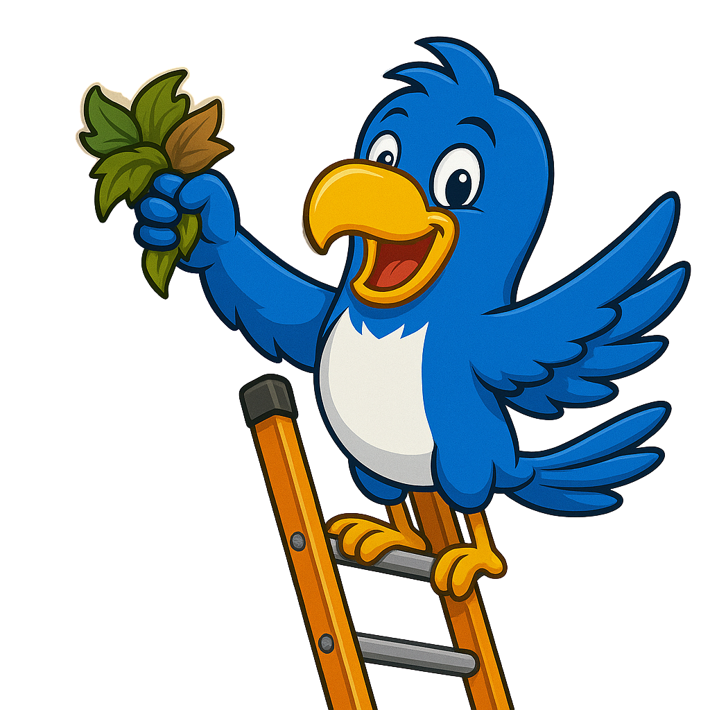 The logo for paradise pro wash is blue and gray with palm trees.