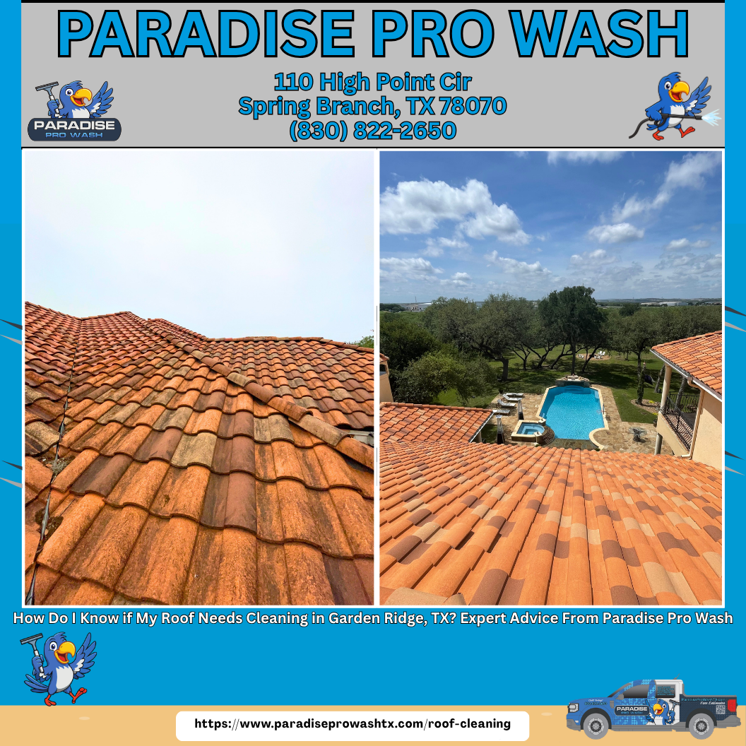 Paradise Pro Wash ad showing roof cleaning before-and-after with red tile roof and poolside home view