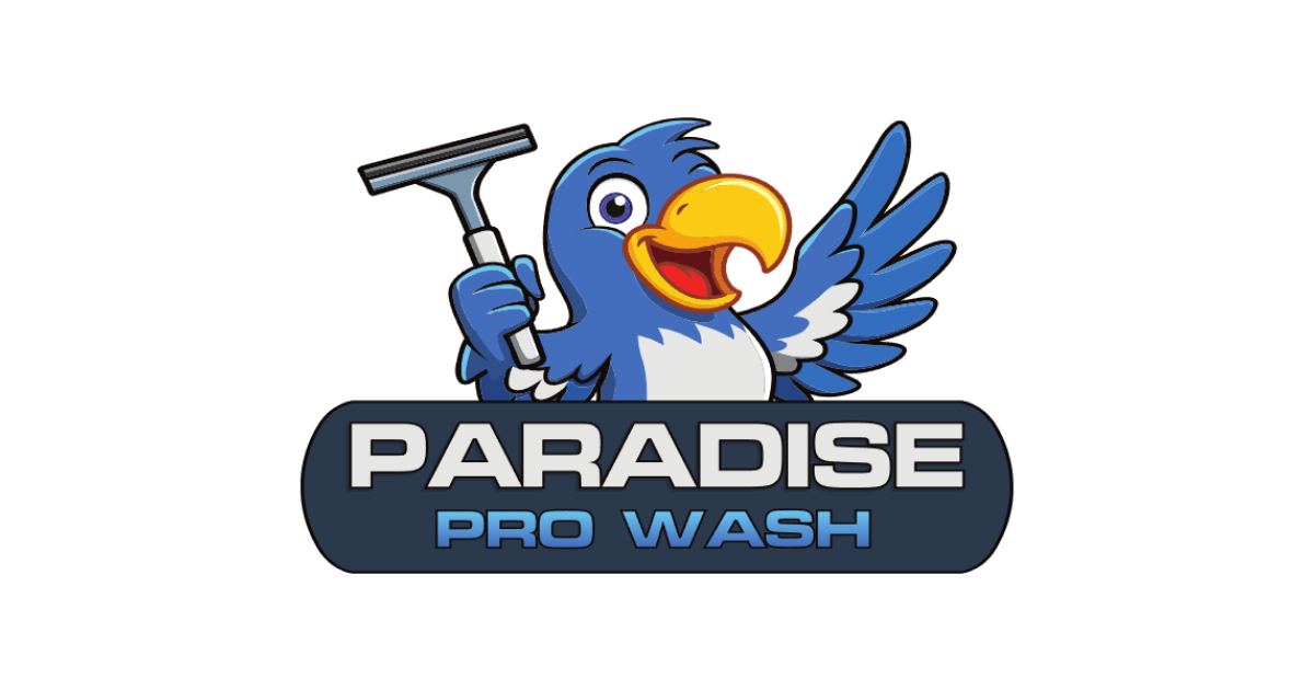 The logo for paradise pro wash is blue and gray with palm trees.