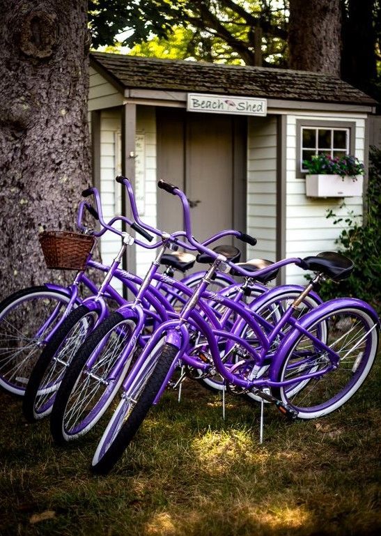 Purple Bikes