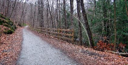 Trail in Nehantic State Forest