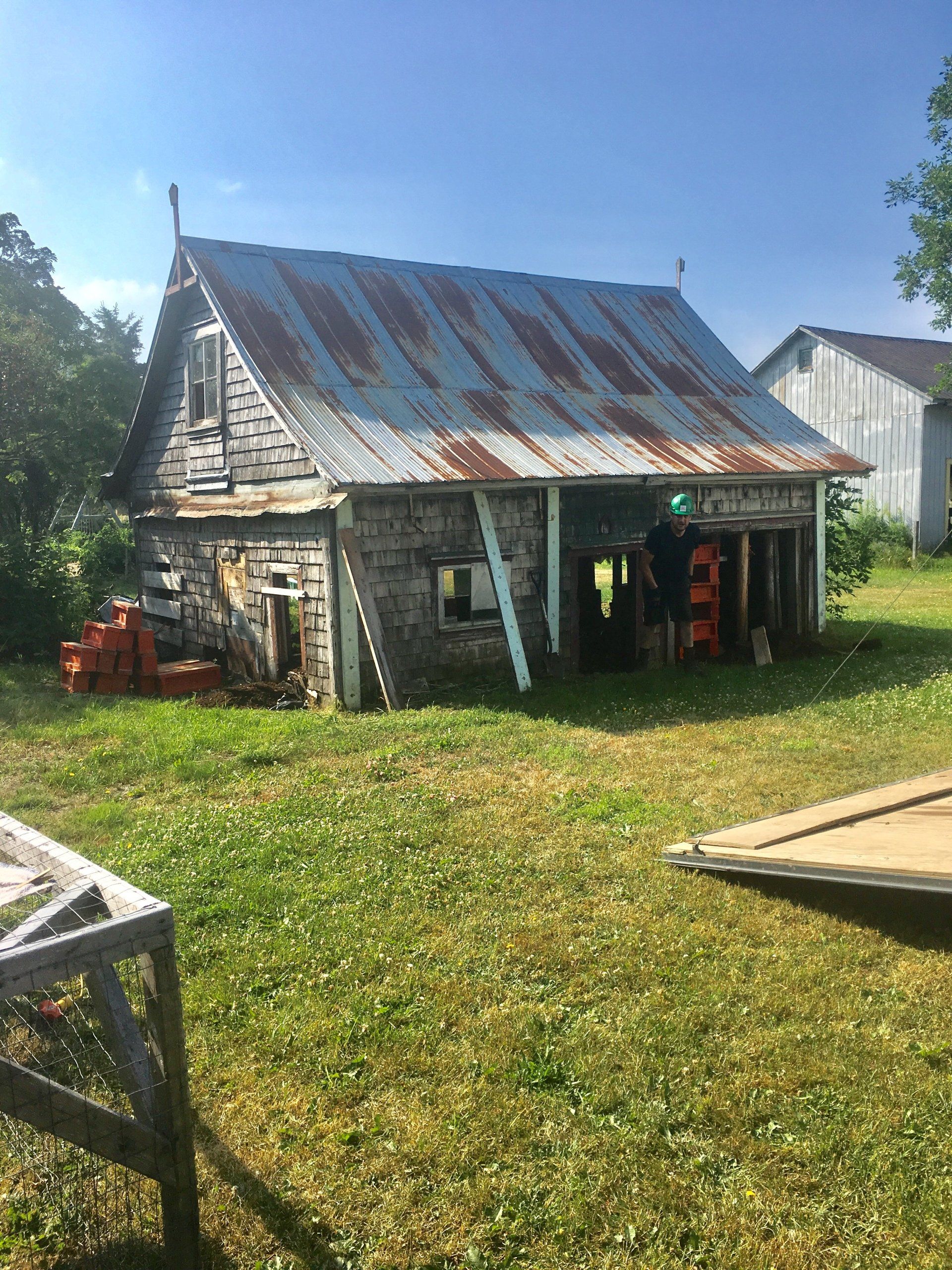 Une vieille grange avec un toit rouillé se trouve au milieu d'un champ herbeux.