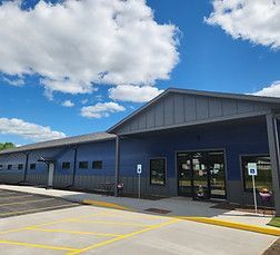 Three golden retrievers looking at the camera with happy expressions, sitting on green grass.
