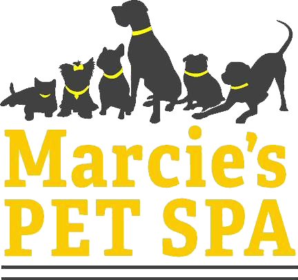 Marcie's Pet Spa Marcie's Pet Spa
