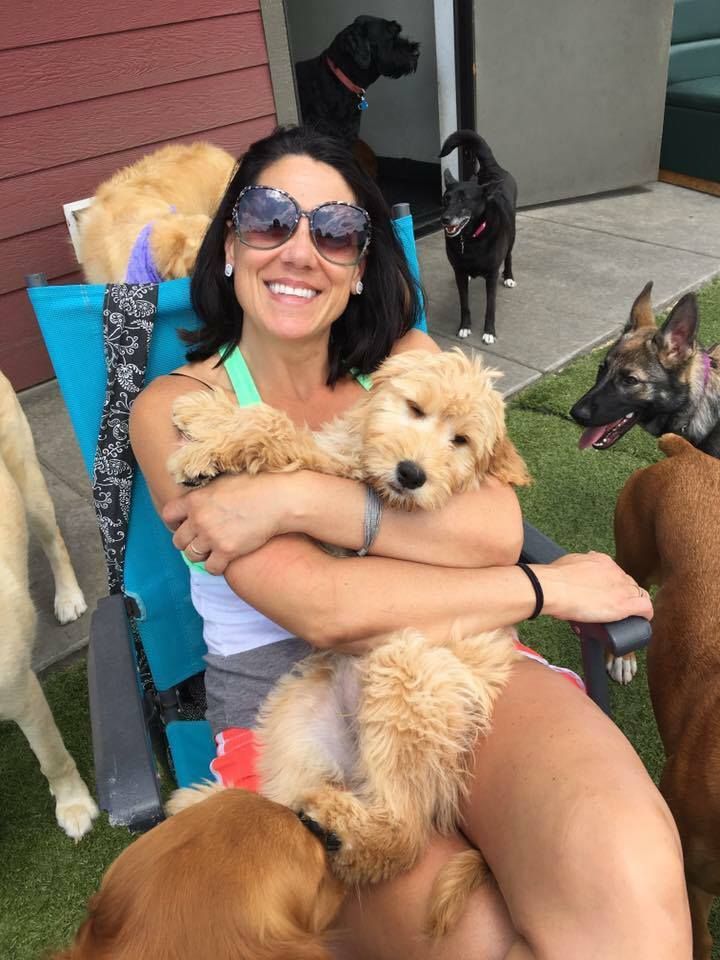 Woman in sunglasses smiles while holding a fluffy goldendoodle, surrounded by other dogs outdoors.