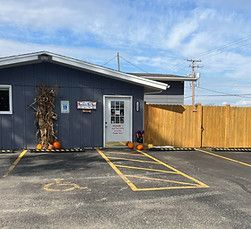 Fluffy white Samoyed dog wearing orange bandana, sitting on grooming table, looking at the viewer.