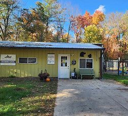 Two Australian Shepherds on green turf. One lies below, smiling. Other stands, ears up, looking forward.