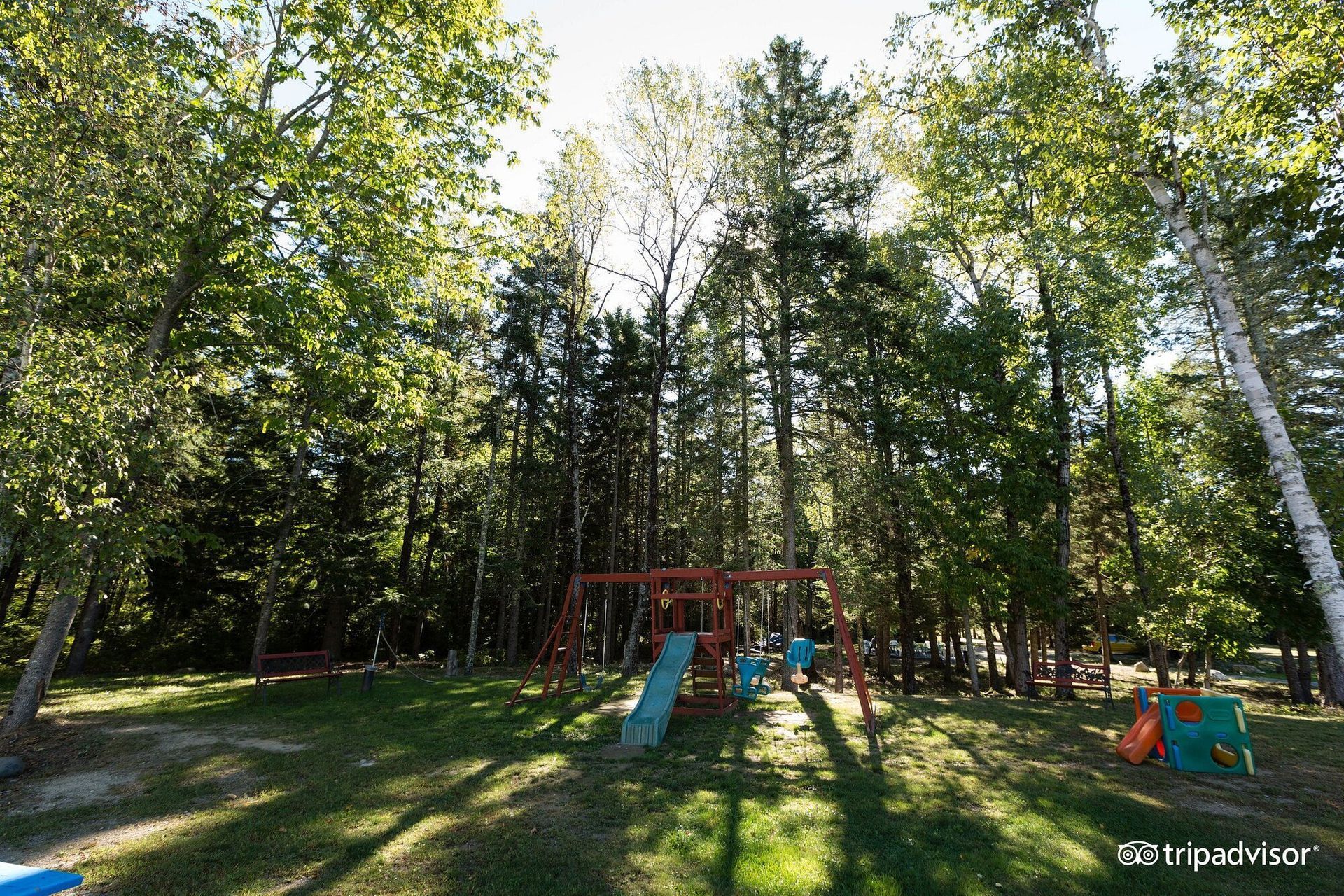 A playground in the middle of a forest with trees in the background