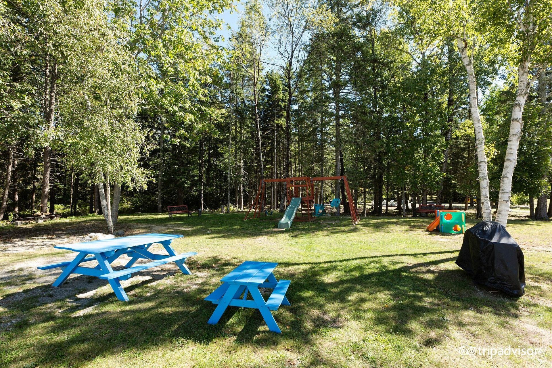 There are two blue picnic tables in the middle of a park.
