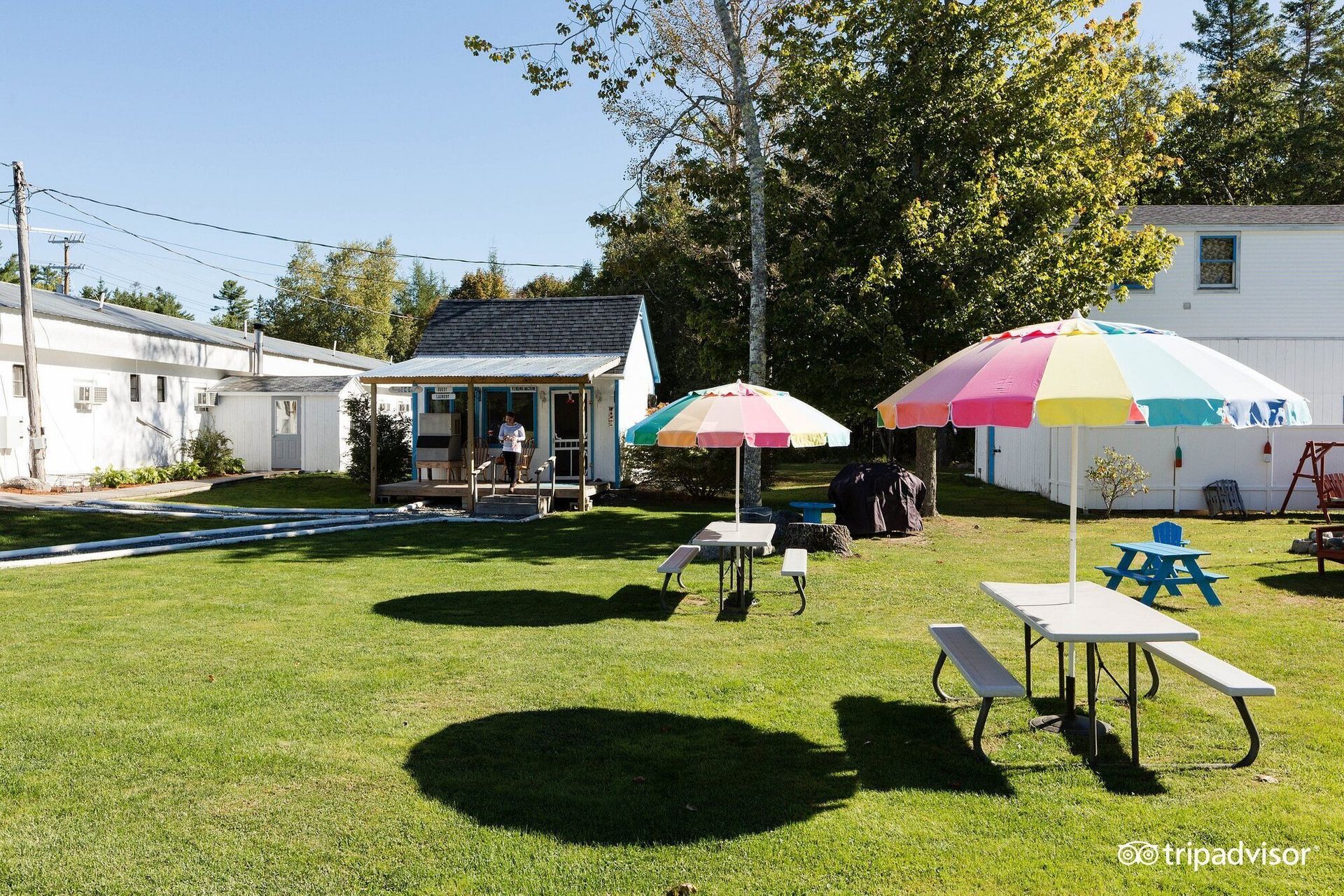 A picnic area with tables and umbrellas in the grass