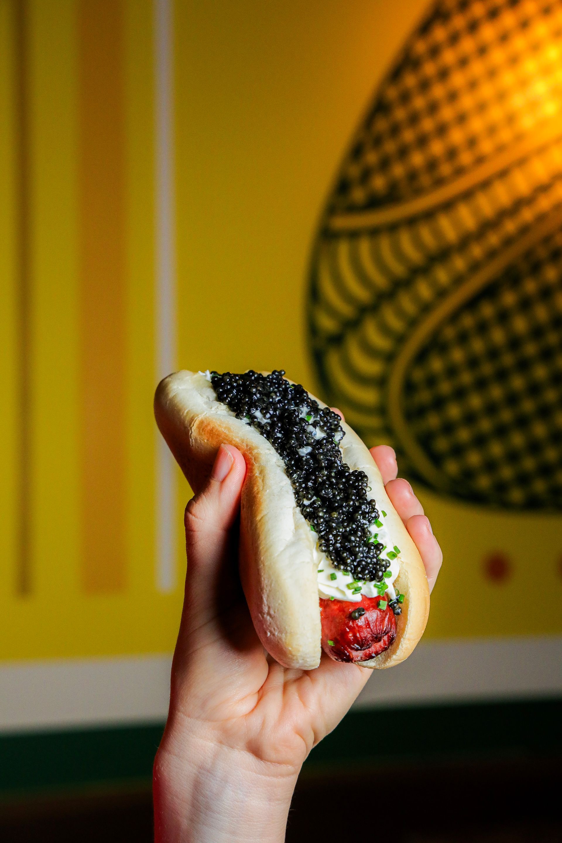 King Leroy Bellevue Caviar Dog with Hand