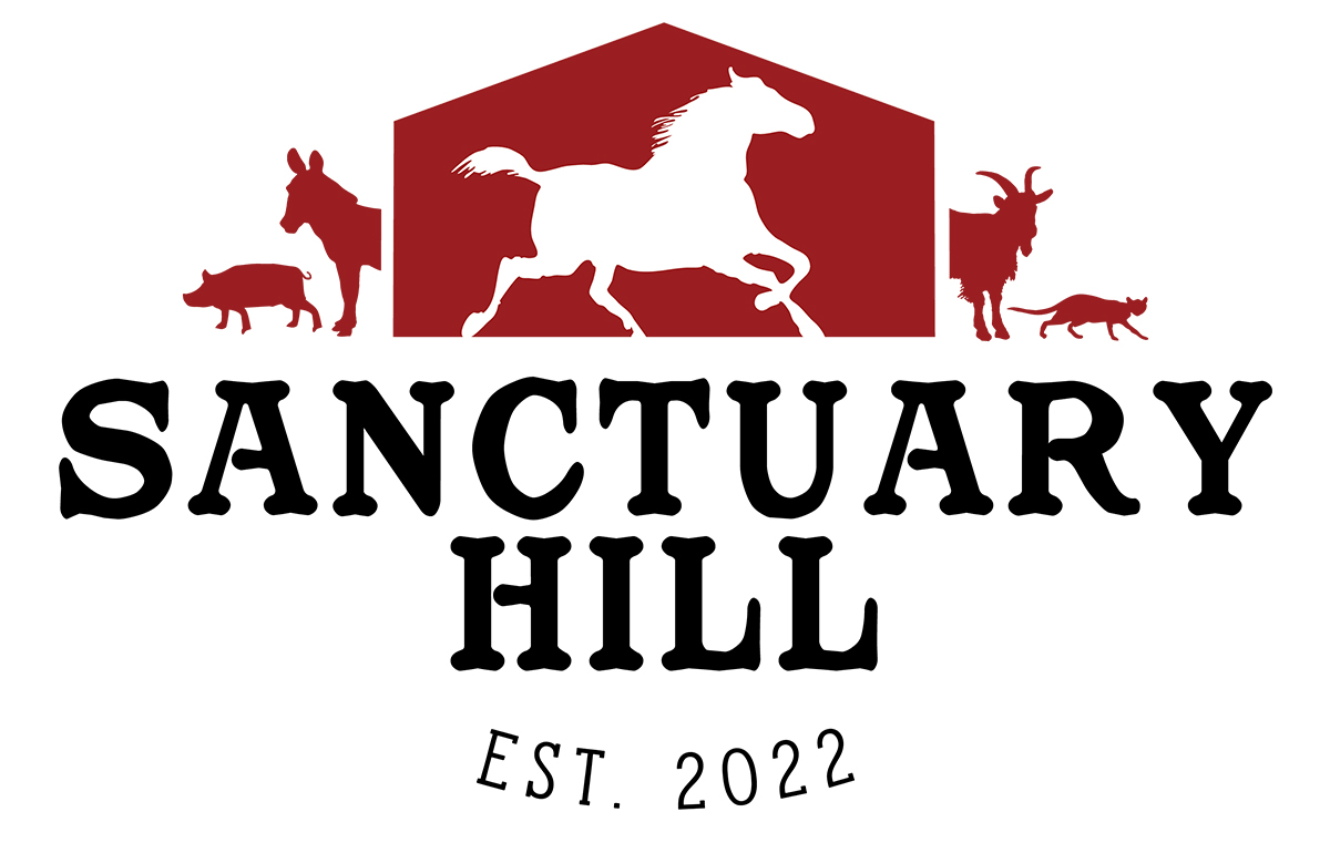 Sanctuary Hill, Inc.